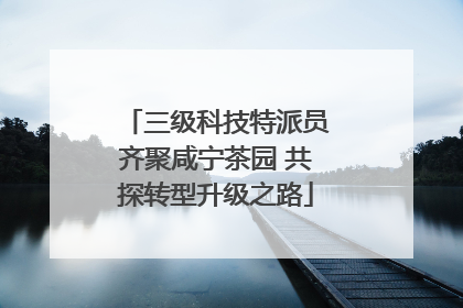三级科技特派员齐聚咸宁茶园 共探转型升级之路