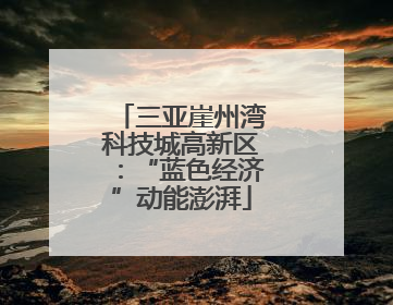 三亚崖州湾科技城高新区：“蓝色经济”动能澎湃