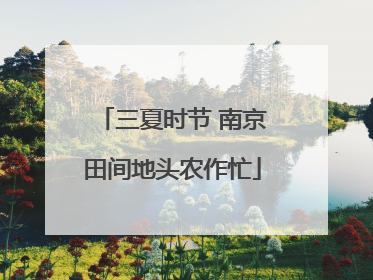 三夏时节 南京田间地头农作忙