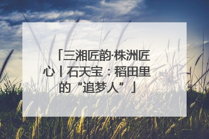 三湘匠韵·株洲匠心丨石天宝：稻田里的“追梦人”