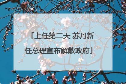 上任第二天 苏丹新任总理宣布解散政府