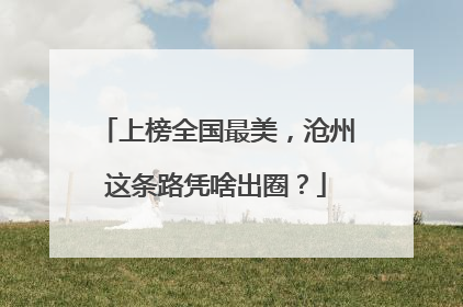上榜全国最美，沧州这条路凭啥出圈？