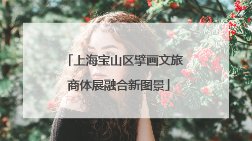 上海宝山区擘画文旅商体展融合新图景