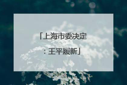 上海市委决定：王平履新