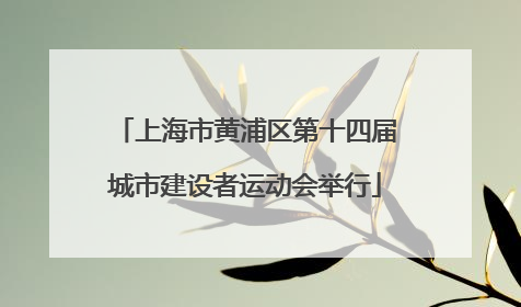 上海市黄浦区第十四届城市建设者运动会举行