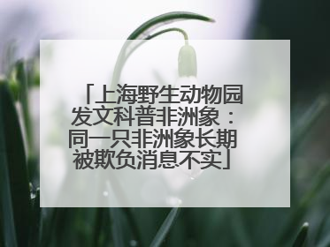 上海野生动物园发文科普非洲象：同一只非洲象长期被欺负消息不实