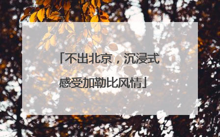 不出北京，沉浸式感受加勒比风情