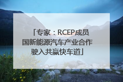专家：RCEP成员国新能源汽车产业合作驶入共赢快车道