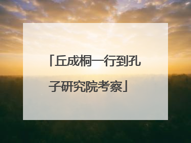 丘成桐一行到孔子研究院考察