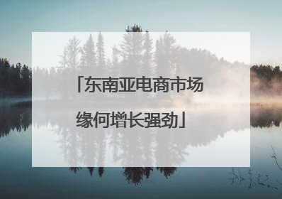 东南亚电商市场缘何增长强劲