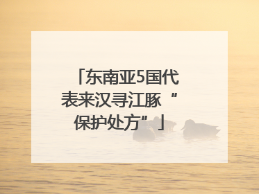 东南亚5国代表来汉寻江豚“保护处方”
