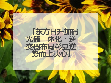 东方日升加码光储一体化：逆变器布局彰显逆势而上决心