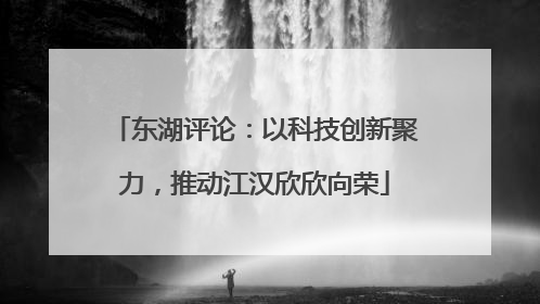 东湖评论：以科技创新聚力，推动江汉欣欣向荣