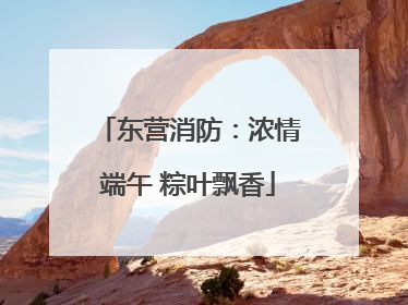 东营消防：浓情端午 粽叶飘香
