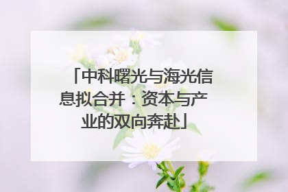 中科曙光与海光信息拟合并：资本与产业的双向奔赴