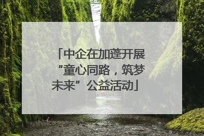 中企在加蓬开展“童心同路，筑梦未来”公益活动