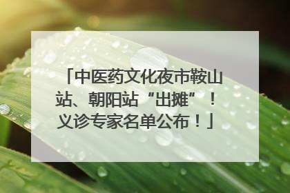中医药文化夜市鞍山站、朝阳站“出摊”！义诊专家名单公布！