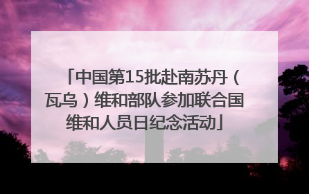 中国第15批赴南苏丹（瓦乌）维和部队参加联合国维和人员日纪念活动