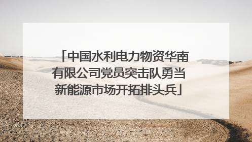 中国水利电力物资华南有限公司党员突击队勇当新能源市场开拓排头兵
