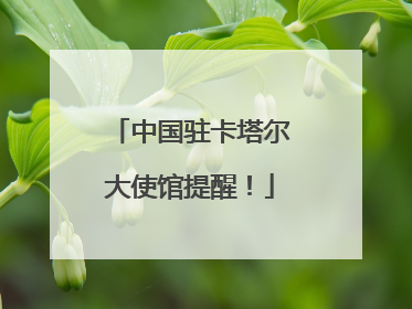 中国驻卡塔尔大使馆提醒！