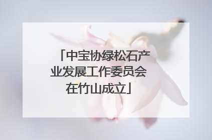 中宝协绿松石产业发展工作委员会在竹山成立