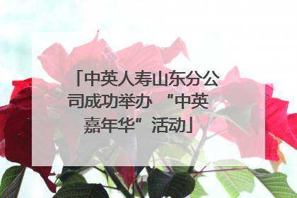 中英人寿山东分公司成功举办 “中英嘉年华”活动