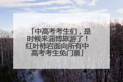 中高考考生们，是时候来淄博旅游了！红叶柿岩面向所有中高考考生免门票