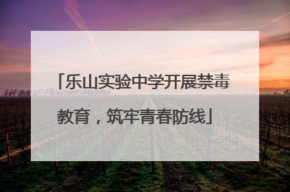 乐山实验中学开展禁毒教育，筑牢青春防线