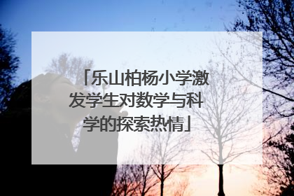 乐山柏杨小学激发学生对数学与科学的探索热情