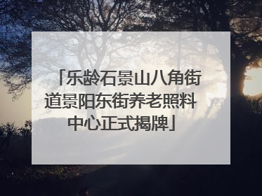 乐龄石景山八角街道景阳东街养老照料中心正式揭牌