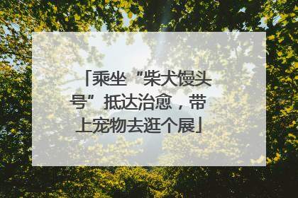 乘坐“柴犬馒头号”抵达治愈，带上宠物去逛个展