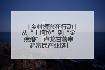 乡村振兴在行动丨从“土坷垃”到“金疙瘩” 卢龙甘薯串起富民产业链