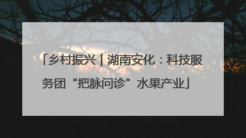 乡村振兴｜湖南安化：科技服务团“把脉问诊”水果产业