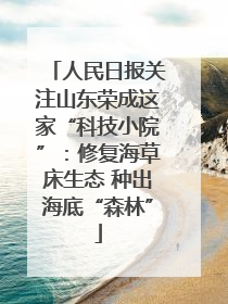 人民日报关注山东荣成这家“科技小院”：修复海草床生态 种出海底“森林”