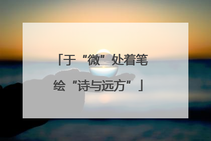 于“微”处着笔 绘“诗与远方”