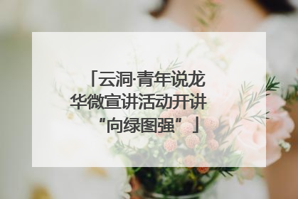 云洞·青年说龙华微宣讲活动开讲“向绿图强”