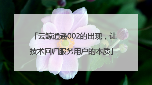 云鲸逍遥002的出现，让技术回归服务用户的本质