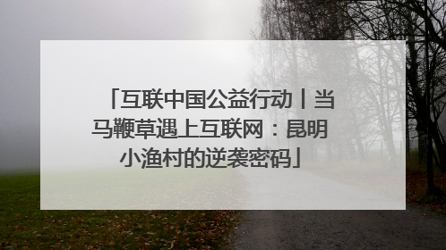 互联中国公益行动丨当马鞭草遇上互联网：昆明小渔村的逆袭密码