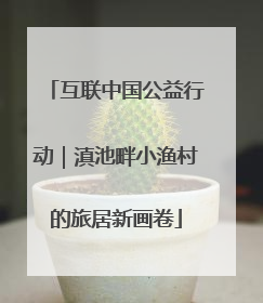 互联中国公益行动｜滇池畔小渔村的旅居新画卷