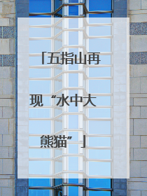 五指山再现“水中大熊猫”