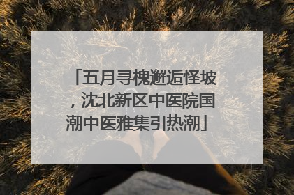 五月寻槐邂逅怪坡，沈北新区中医院国潮中医雅集引热潮