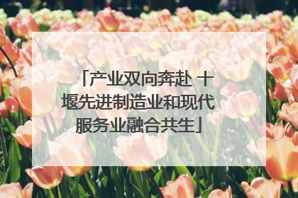 产业双向奔赴 十堰先进制造业和现代服务业融合共生