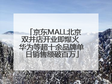 京东MALL北京双井店开业即爆火 华为等超十余品牌单日销售额破百万