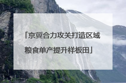 京冀合力攻关打造区域粮食单产提升样板田
