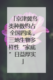 京津冀鸟类种数约占全国四成，三地生物多样性“家底”日益厚实