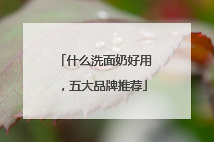 什么洗面奶好用，五大品牌推荐
