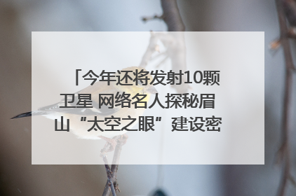 今年还将发射10颗卫星 网络名人探秘眉山“太空之眼”建设密码｜网络名人四川行