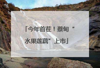 今年首茬！蔡甸“水果莲藕”上市