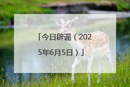 今日辟谣（2025年6月5日）