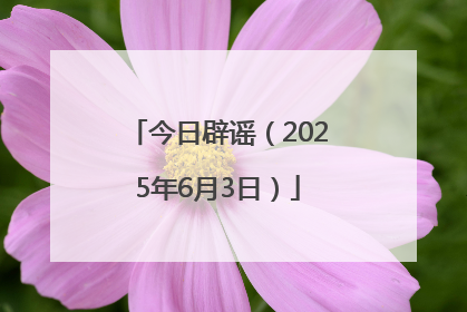 今日辟谣（2025年6月3日）